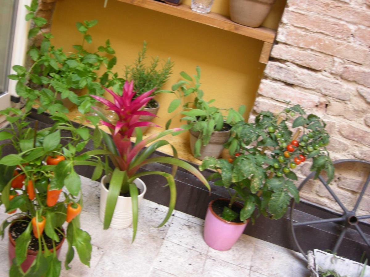 Terrazza Petroni Appartement Bologna Buitenkant foto